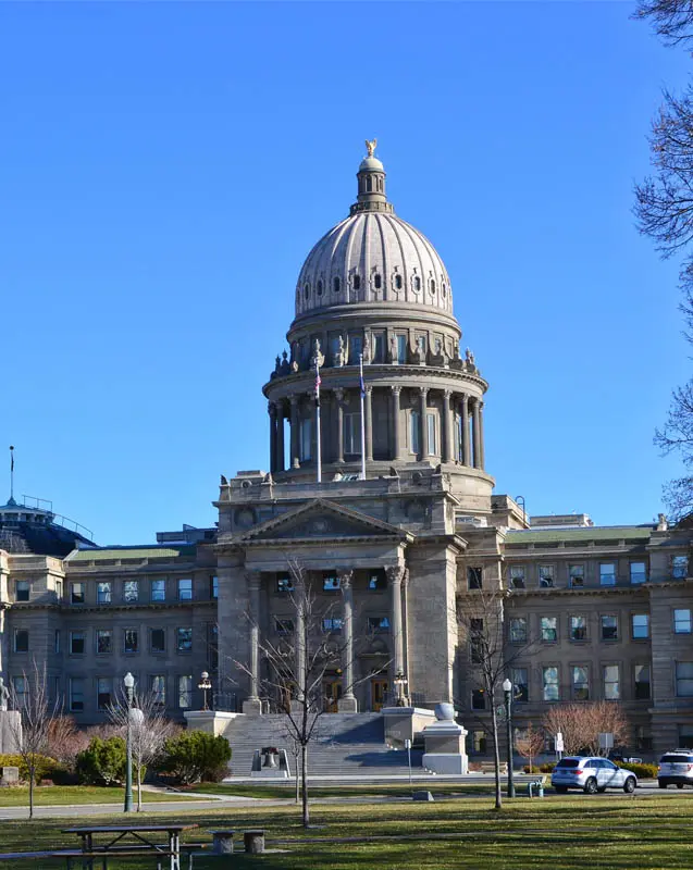 government-and-public-services